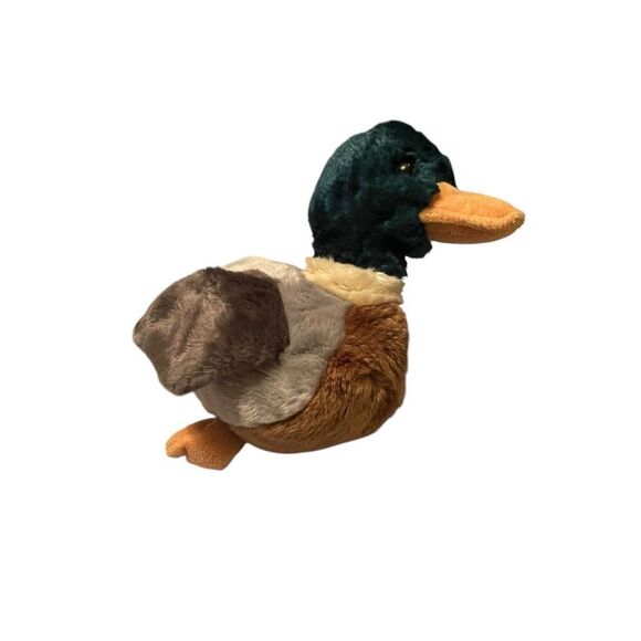 Ty Jake The Mallard Duck Beanie Baby Babies Plush Stuffed Animal Toy - Picture 1 of 12